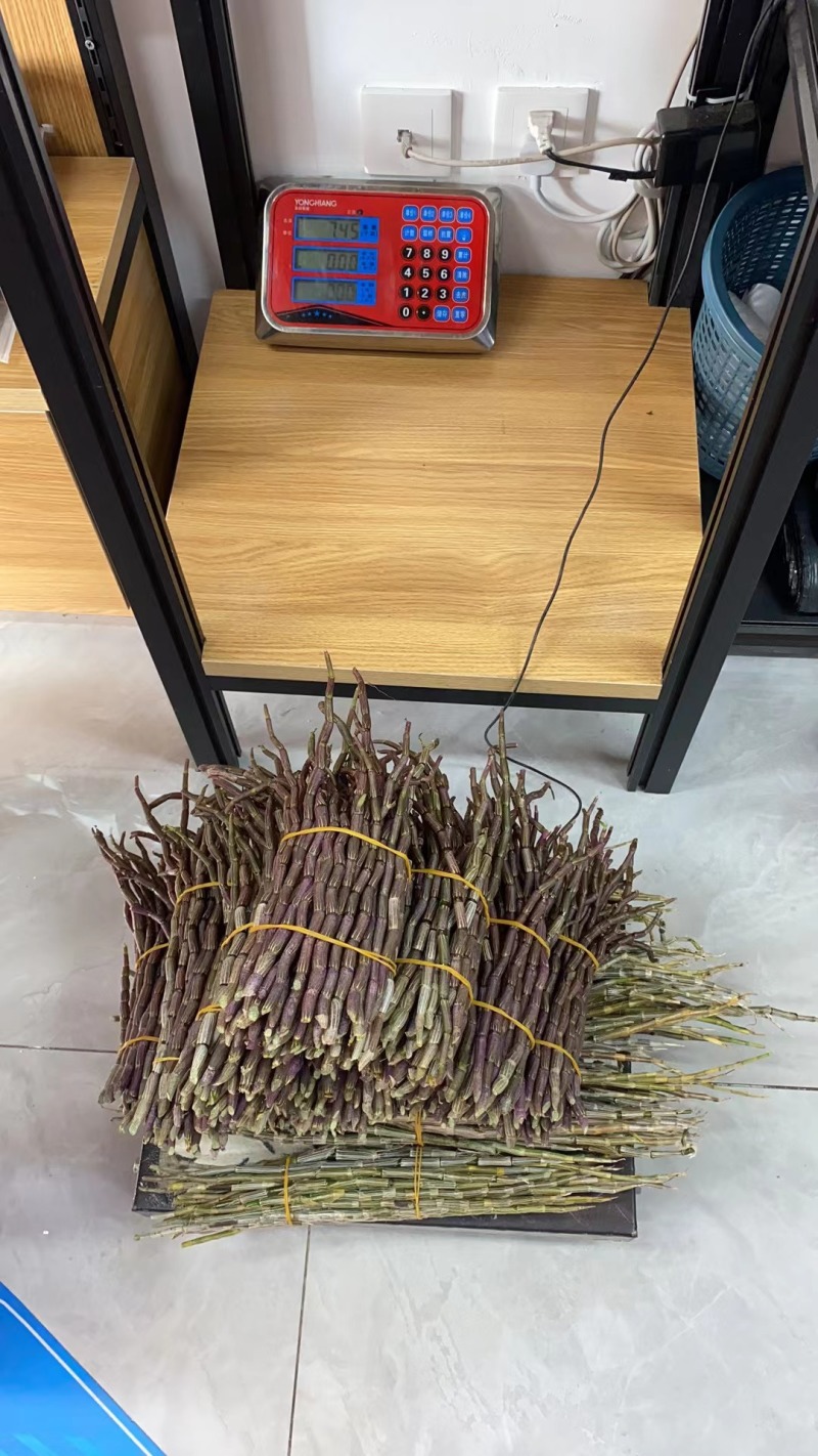 云南铁皮石斛农户自家种植的水果石斛自产自销