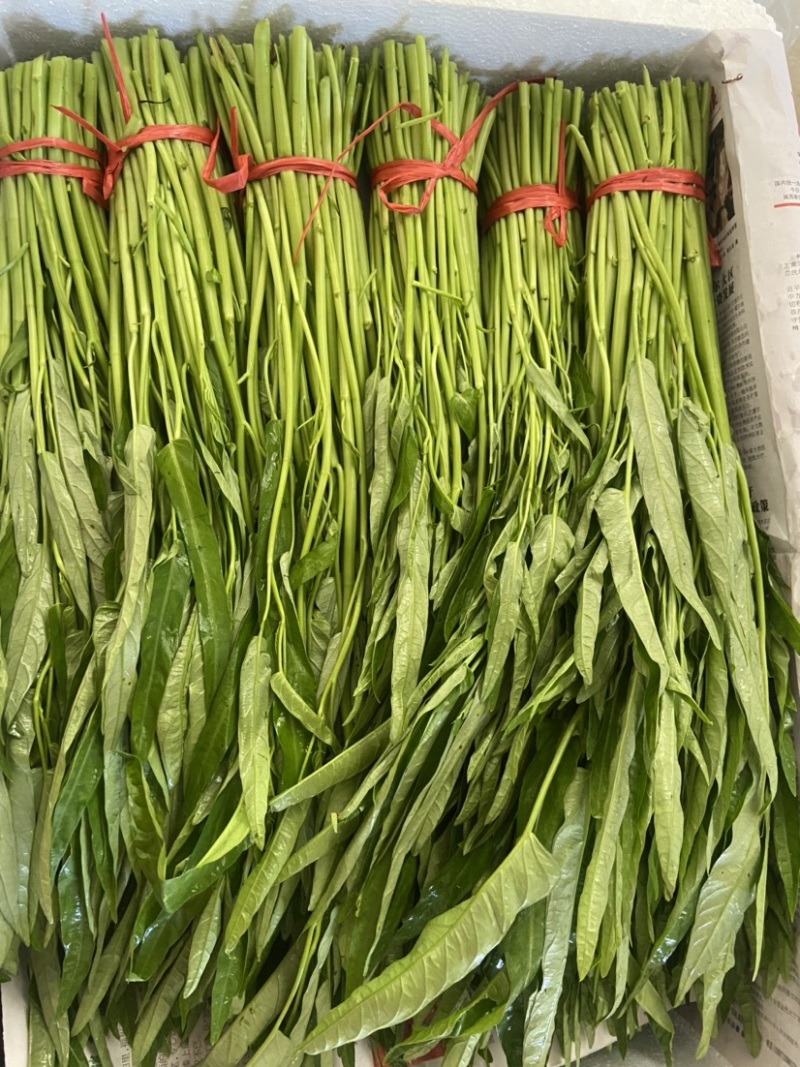 新鲜空心菜，漳州当地产，品质保证，快来选购！