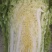 白菜，5-7斤左右