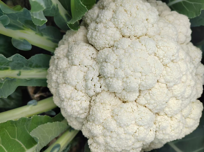 菠菜松花蛋凉拌图