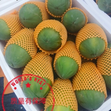 云南大青红心木瓜品质保证量大价优支持视频看货欢迎来电