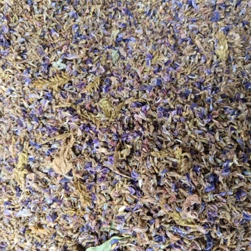 葛花，生长在丛草之中，正在热卖之中，