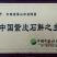 包邮云南紫皮基地直销胶质好11月份后颜色偏紫
