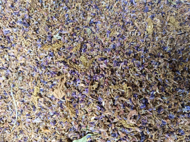 葛花，生长在丛草之中，正在热卖之中，