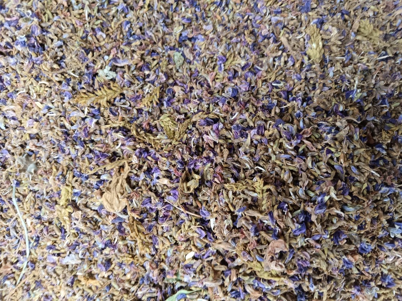 葛花，生长在丛草之中，正在热卖之中，