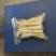 高山刺竹笋清脆可口