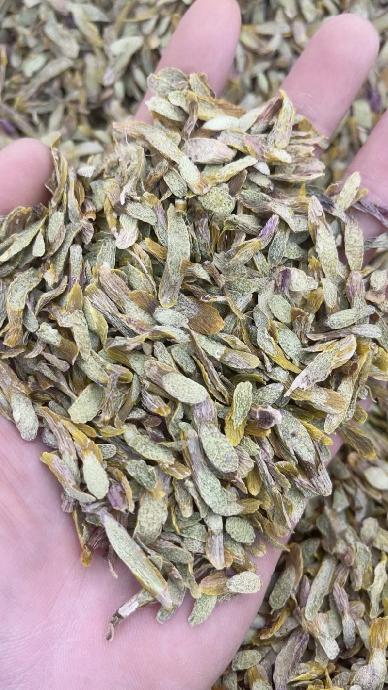 铁皮石斛，切片（大片）（中片）（小片）肉质饱满，片片均匀