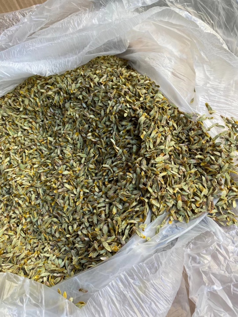 铁皮石斛，切片（大片）（中片）（小片）肉质饱满，片片均匀