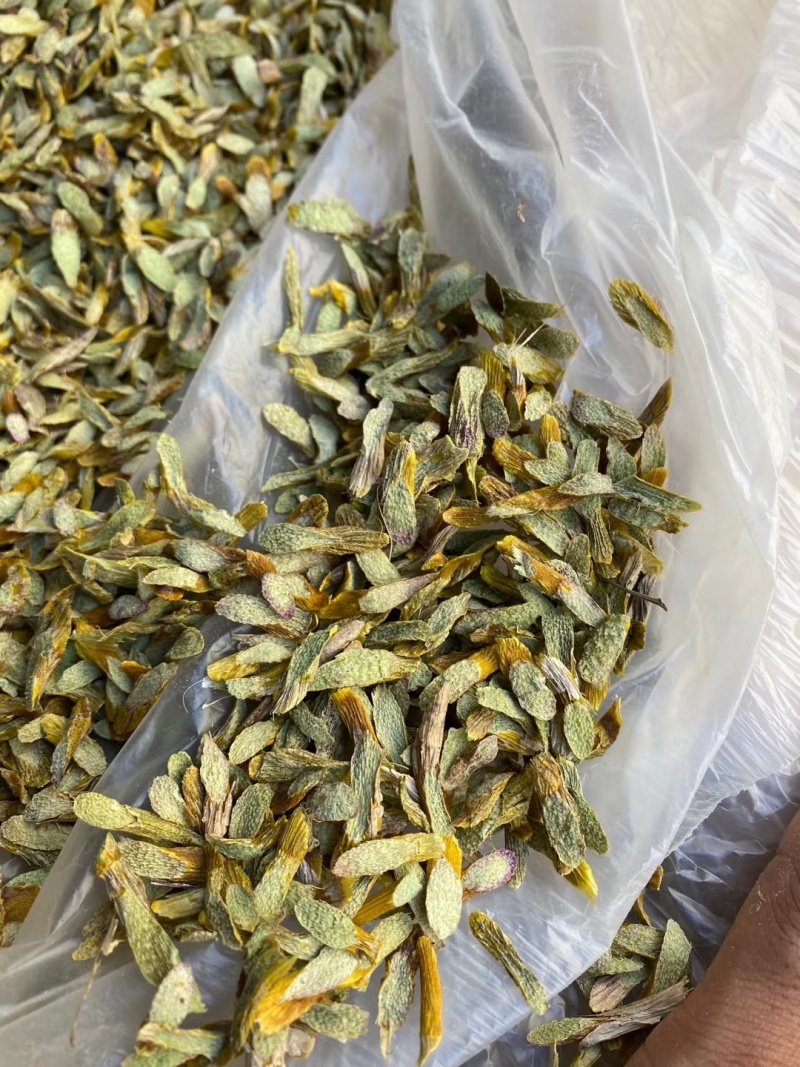 铁皮石斛，切片（大片）（中片）（小片）肉质饱满，片片均匀