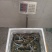 锯缘青蟹越南花羔量大从优基地发货，对接全国