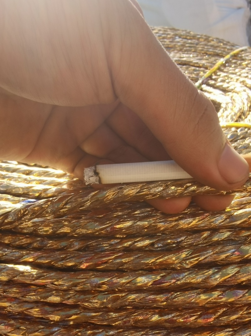 黄金绳大棚压模绳吊秧绳小树拉枝绳防水防晒抗老化