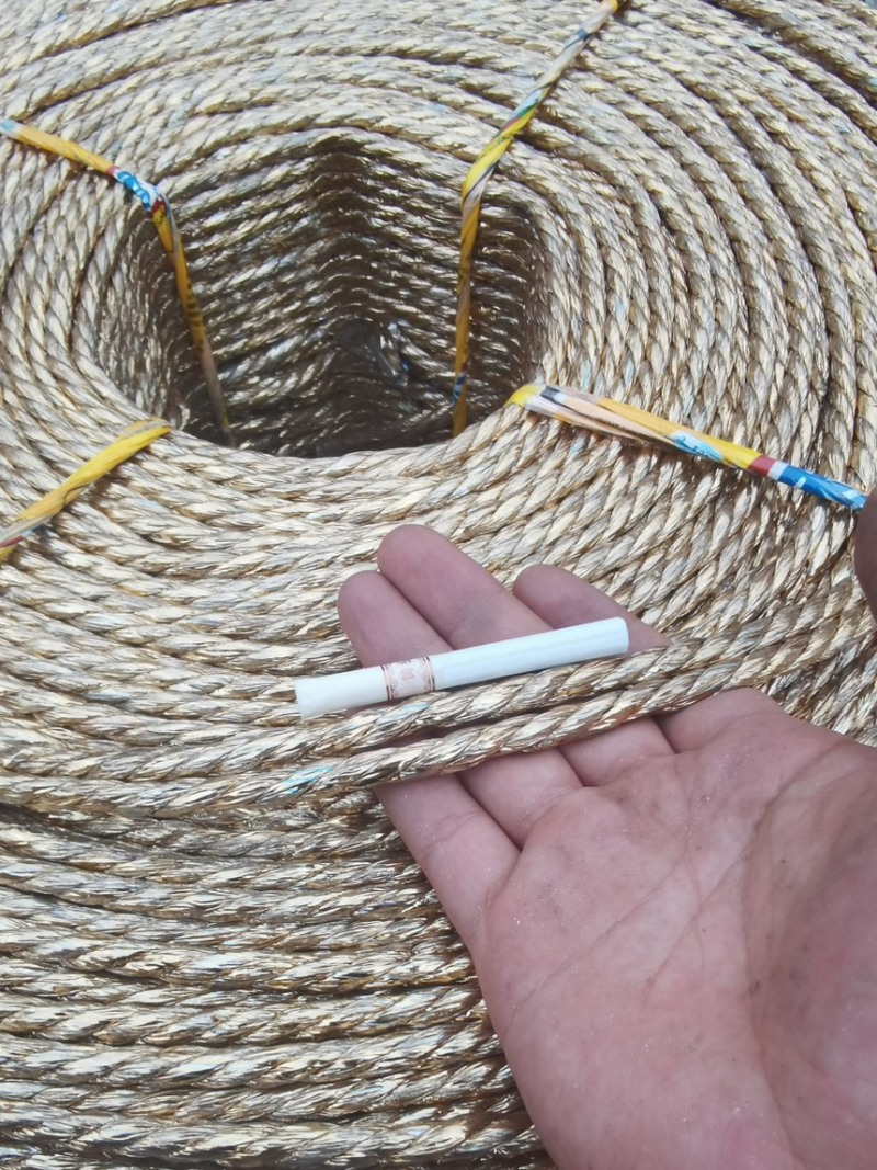 黄金绳大棚压模绳吊秧绳小树拉枝绳防水防晒抗老化