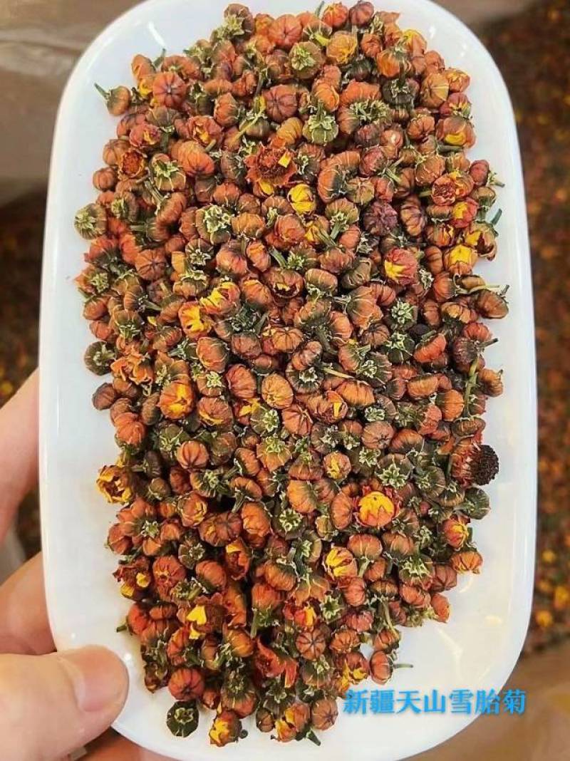 新鲜采摘的雪菊，健康养生首选！