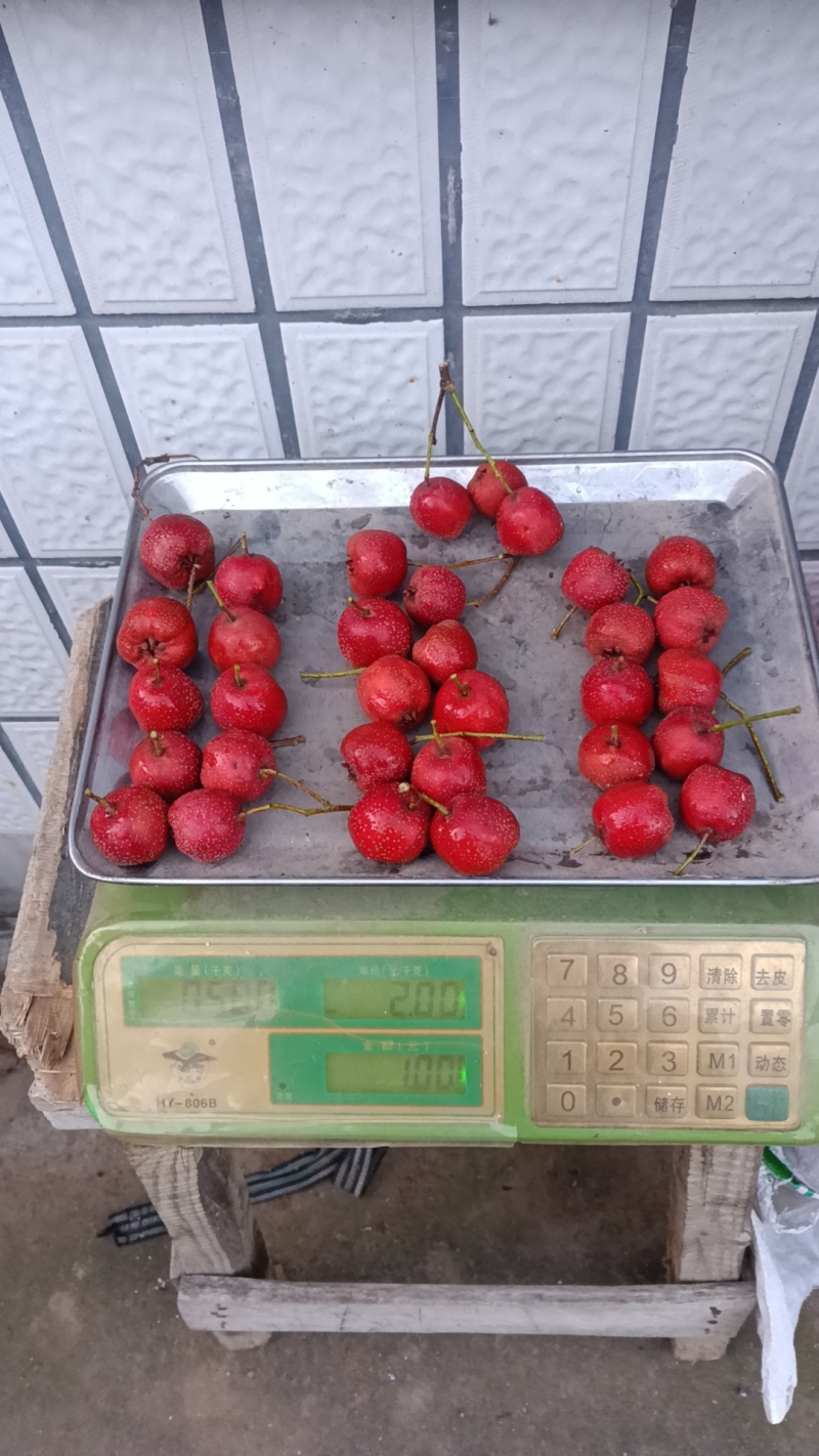 兴隆特产优质秋果甜口铁山楂