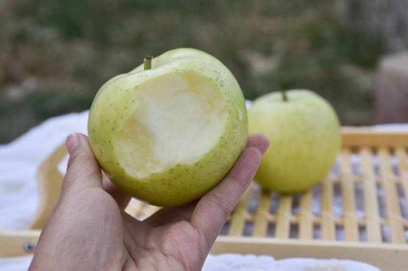 王林苹果阿克苏冰糖心苹果