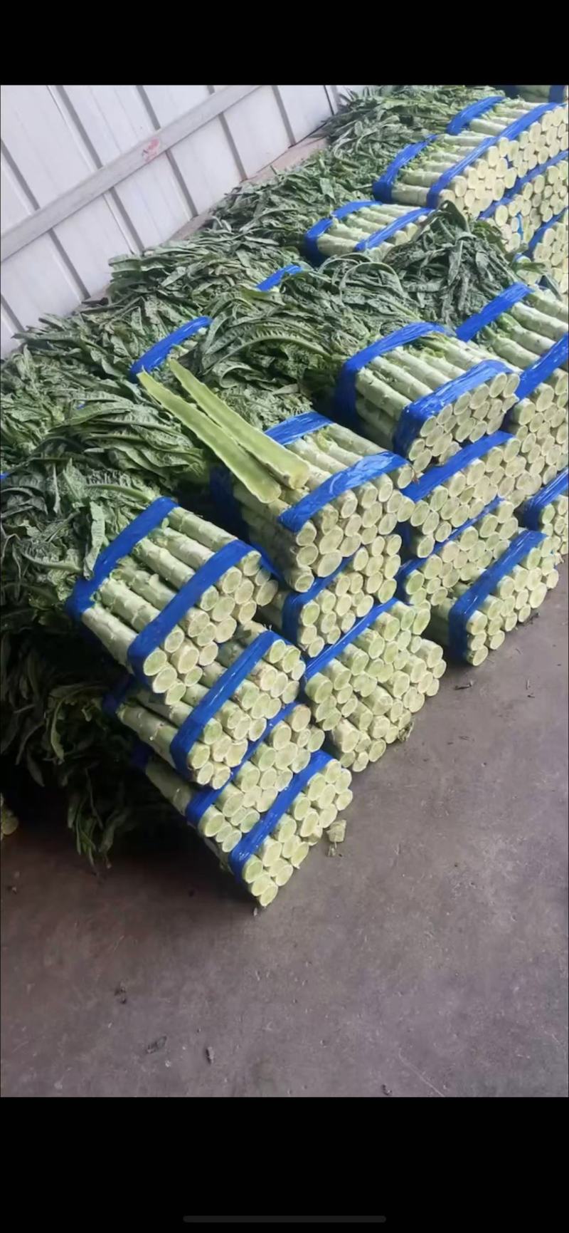 【产地直发】优选莴笋对接电商，市场，商超，量大从优