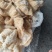 开口大肠