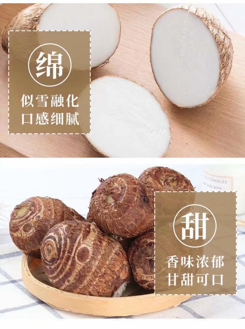 山东烟台莱阳沙土毛芋头农家自种产地直发