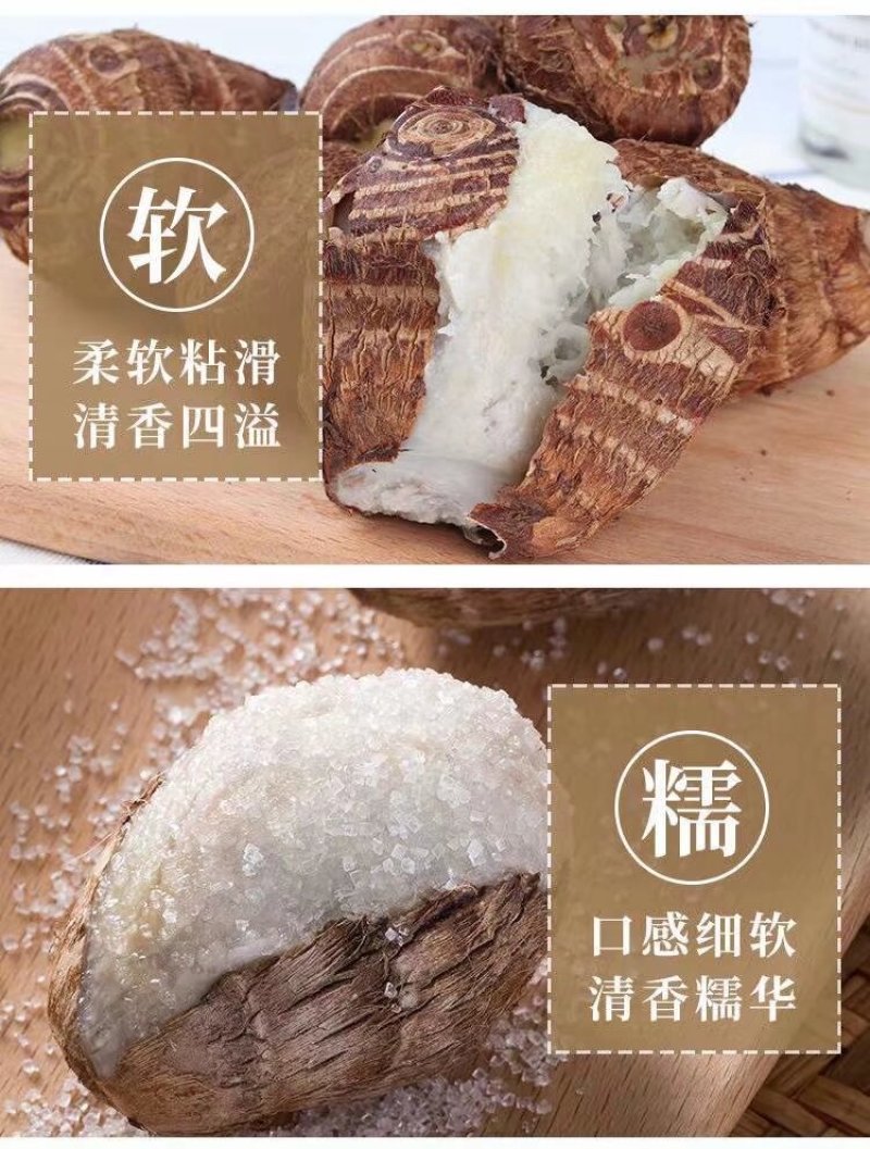 山东烟台莱阳沙土毛芋头农家自种产地直发