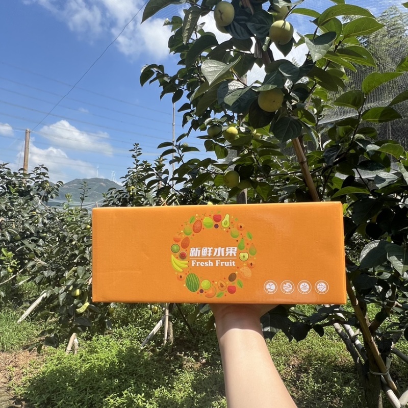 【精选】日本太秋甜柿香甜多汁种植基地量大价优欢迎致电