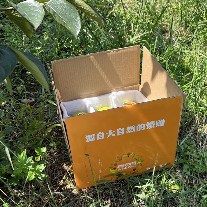 【精选】日本太秋甜柿香甜多汁种植基地量大价优欢迎致电