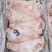 半猪头无耳厂家直销对接饭店单位欢迎联系合作