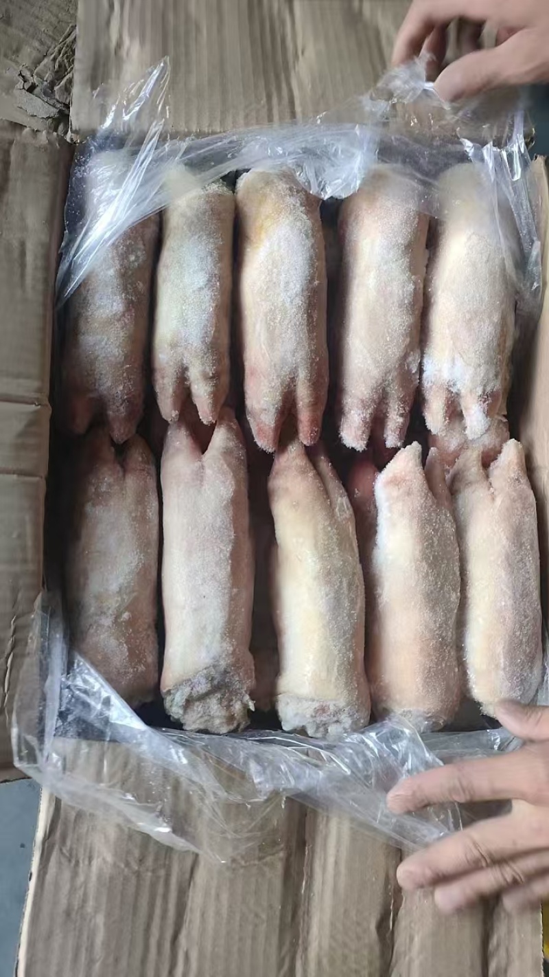 肥猪次蹄