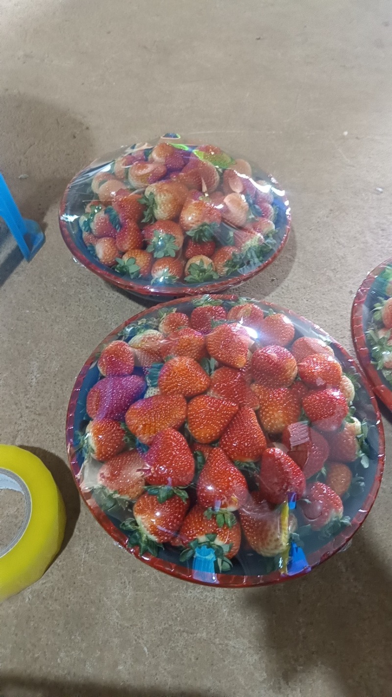 蒙特瑞草莓
