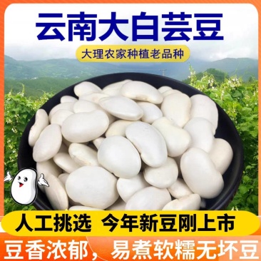 云南大白芸豆/农户种植/价格便宜/全国包邮发货