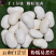 云南大白芸豆/农户种植/价格便宜/全国包邮发货
