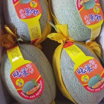 精品海南小蜜25哈密瓜一手货源质量保证价格便宜