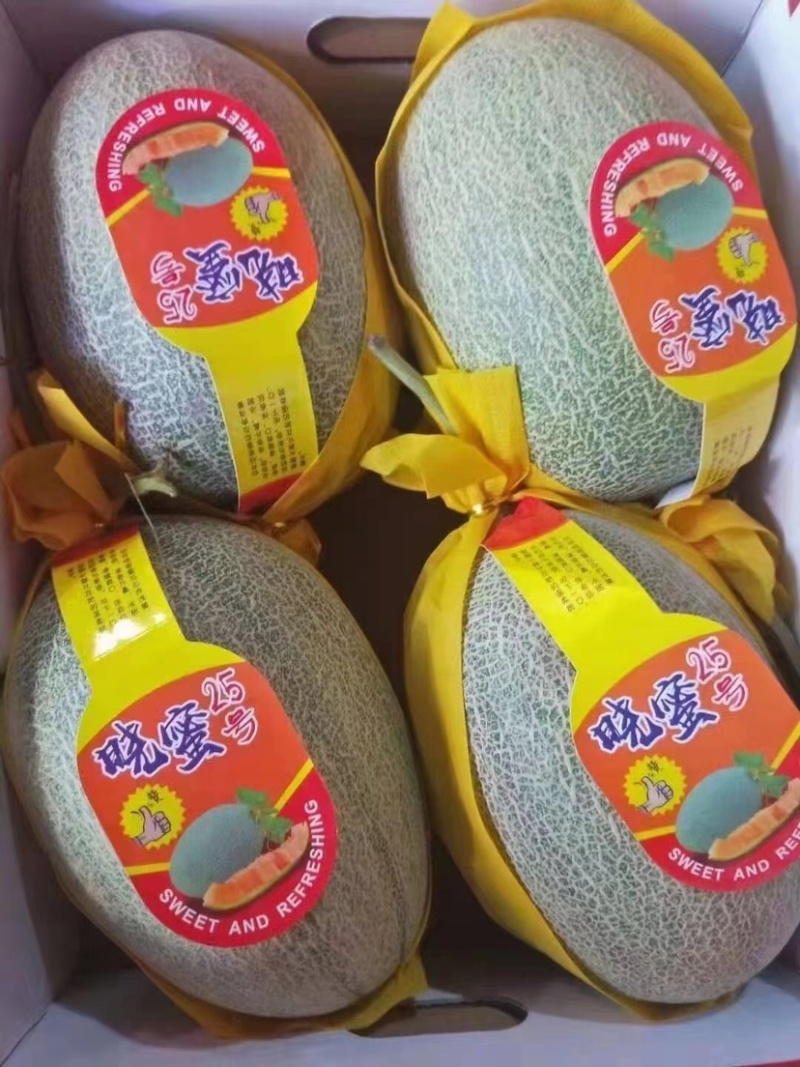 精品海南小蜜25哈密瓜一手货源质量保证价格便宜