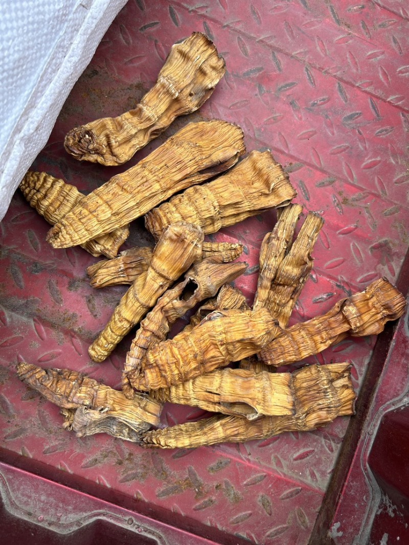 烟熏笋干毛竹笋尖筒笋量大从优