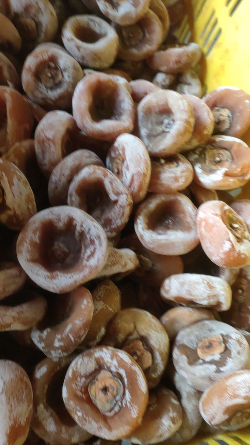 【精品】广西精品柿饼平乐柿饼大量上市