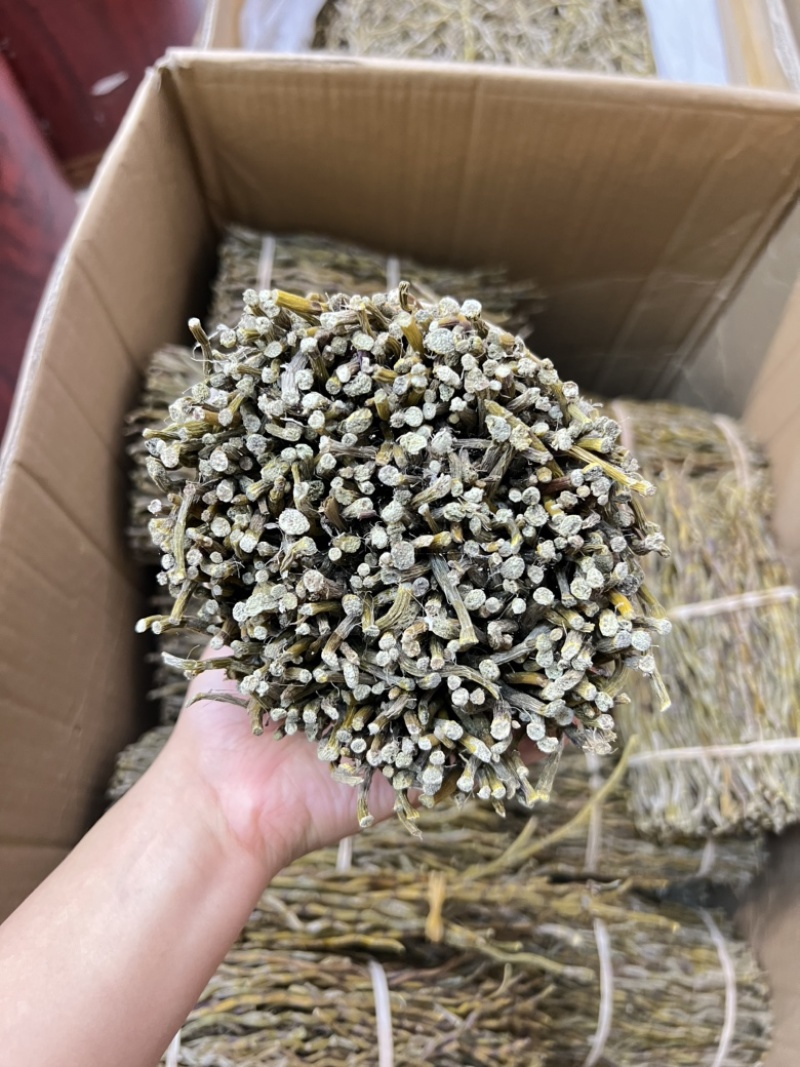 铁皮石斛捆条，全化渣胶质浓郁，价格不贵现货100公斤
