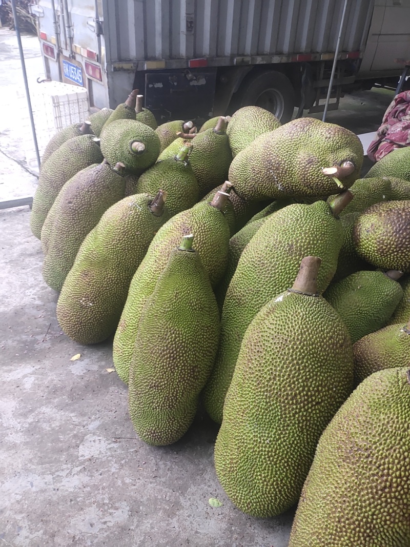 马来西一号