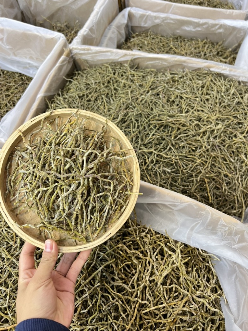 铁皮石斛干条，打粉条芽条价格实惠，现货500公斤。