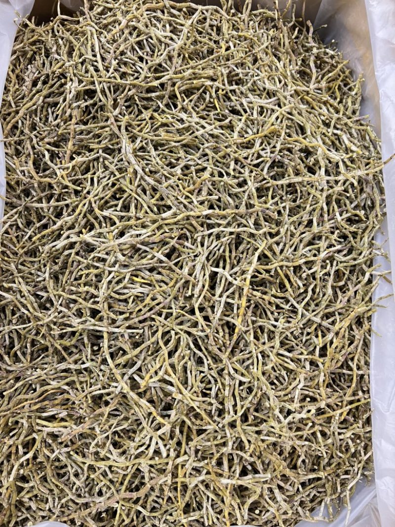铁皮石斛干条，打粉条芽条价格实惠，现货500公斤。