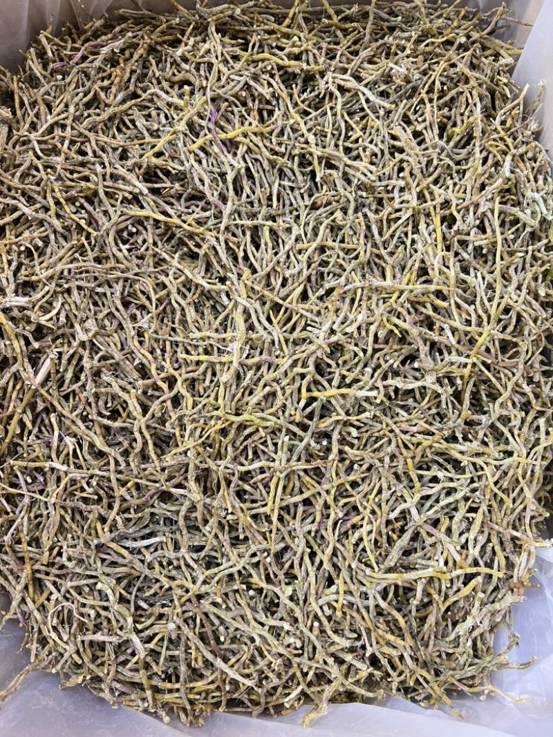 铁皮石斛干条，打粉条芽条价格实惠，现货500公斤。