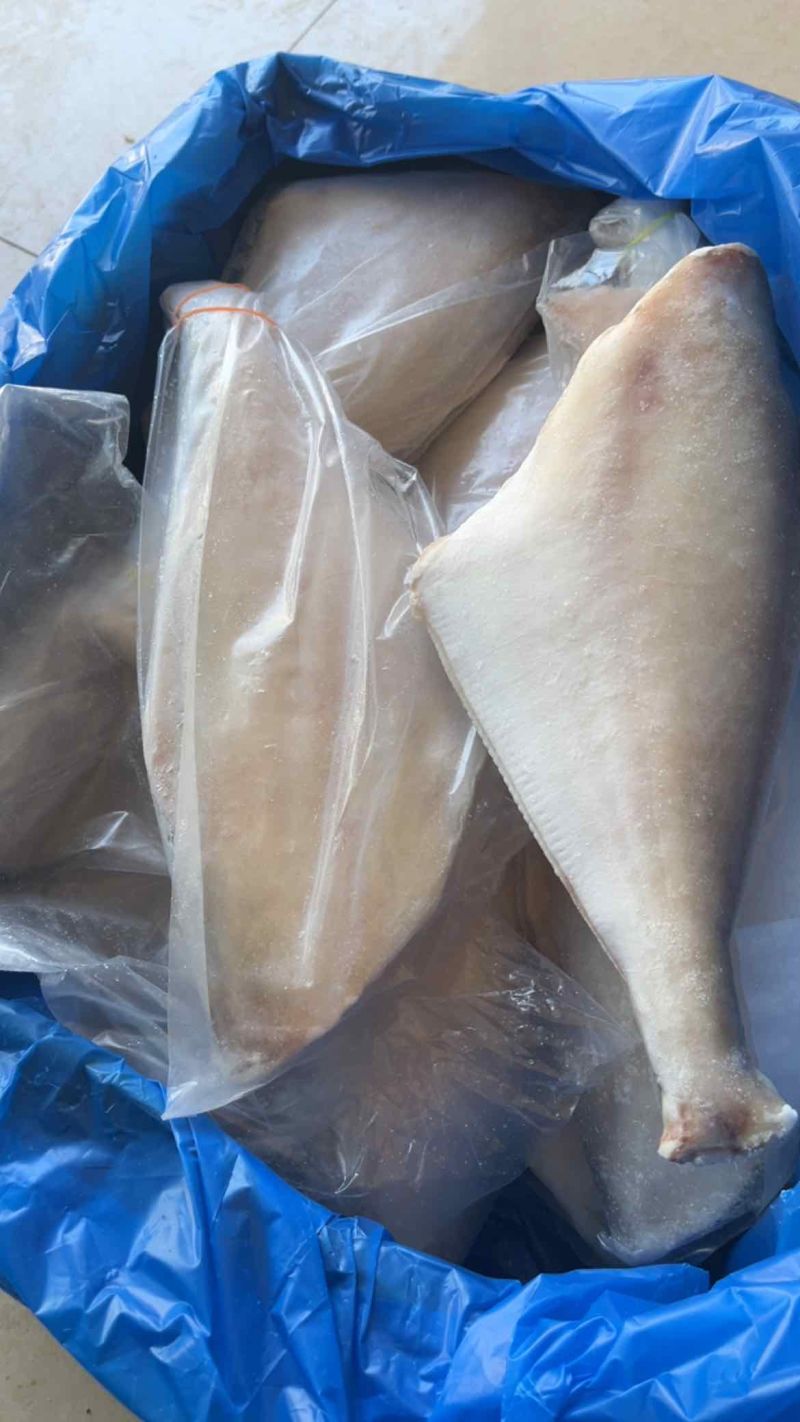 三去马面鱼免处理扒皮鱼橡皮鱼大耗儿鱼海鱼批发