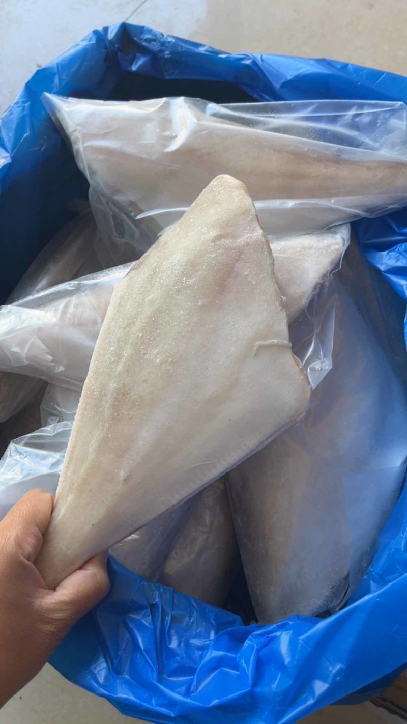 三去马面鱼免处理扒皮鱼橡皮鱼大耗儿鱼海鱼批发