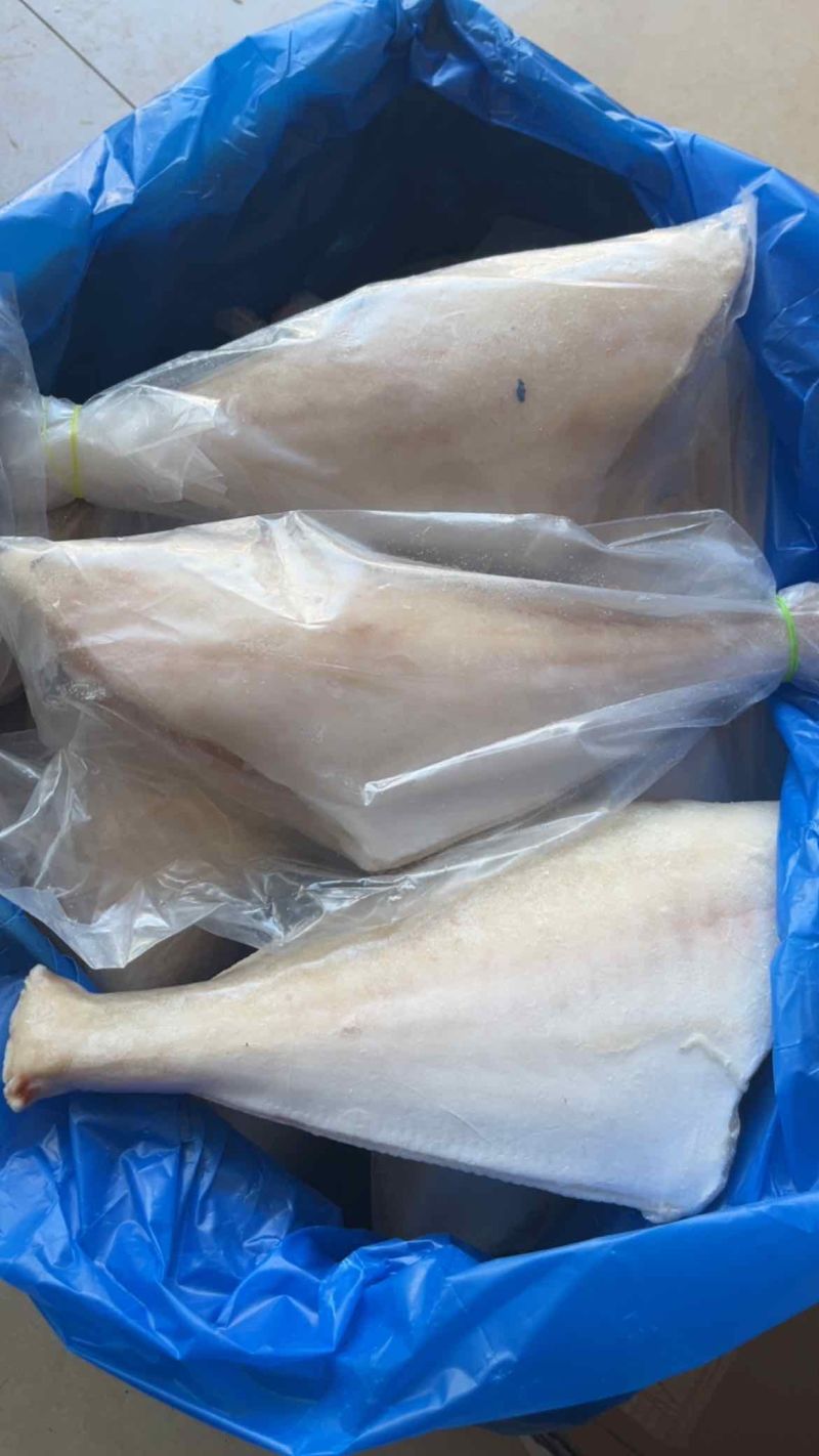 三去马面鱼免处理扒皮鱼橡皮鱼大耗儿鱼海鱼批发