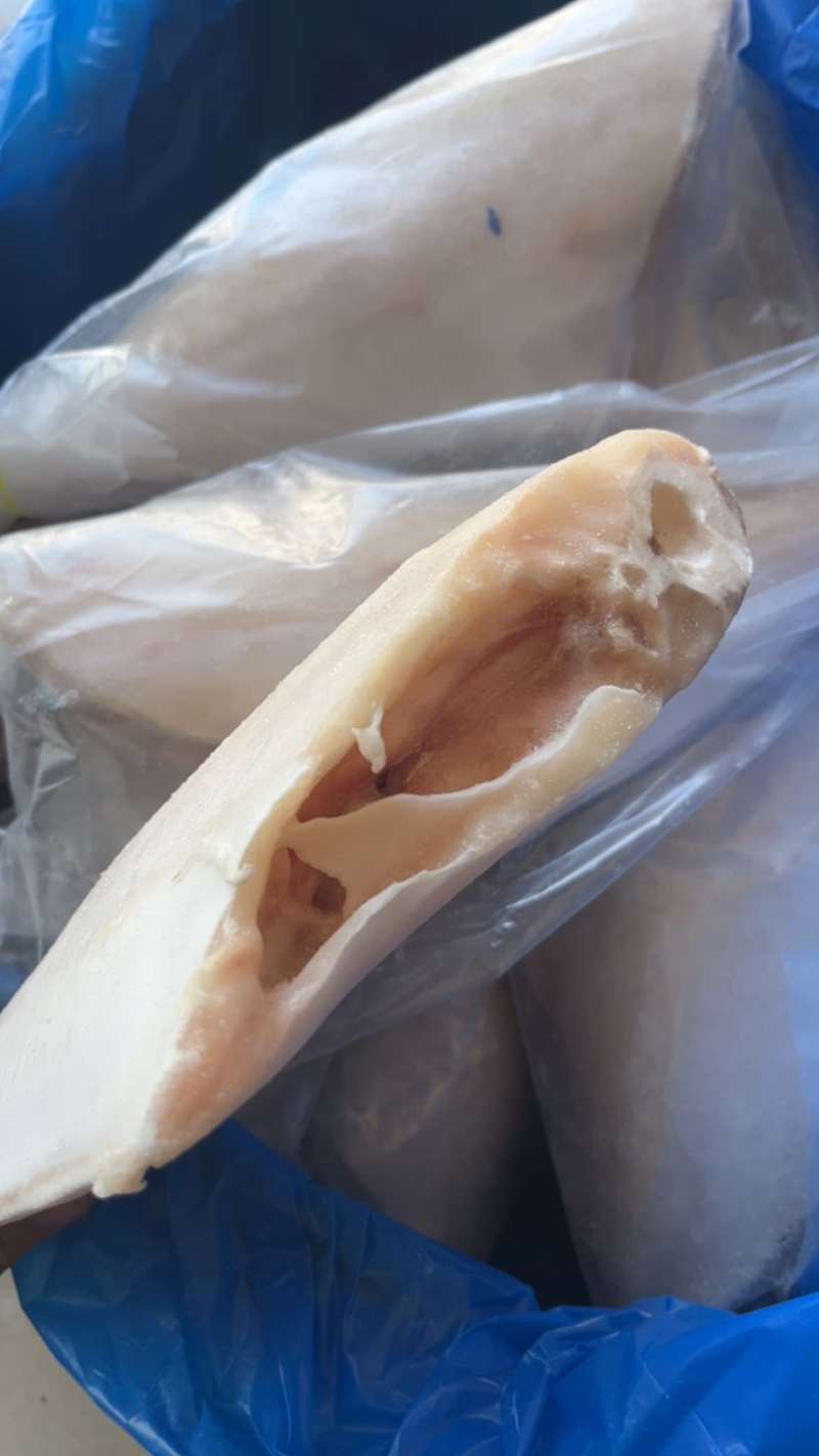 三去马面鱼免处理扒皮鱼橡皮鱼大耗儿鱼海鱼批发