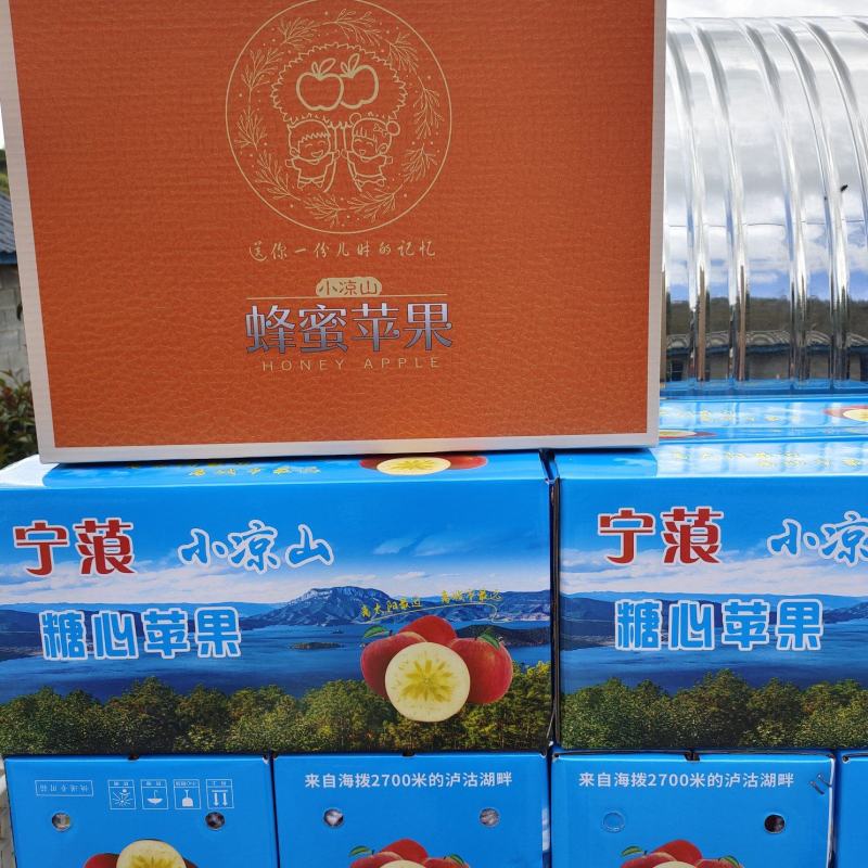 丽江宁蒗泸沽湖糖心丑苹果
