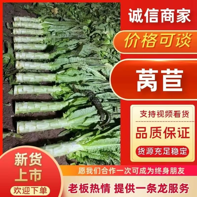 【产地直发】优选莴笋对接电商，市场，商超，量大从优