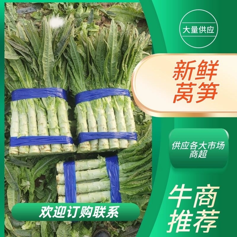 （产地直发）优选莴笋对接电商平台市场，商超，量大从优