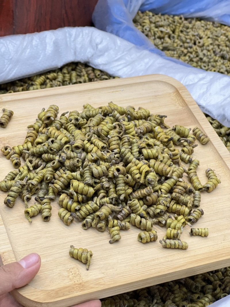 铁皮石斛龙头凤尾短粒，量大价优，基地发货，可视频看货！