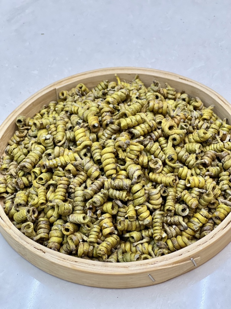铁皮石斛龙头凤尾短粒，量大价优，基地发货，可视频看货！