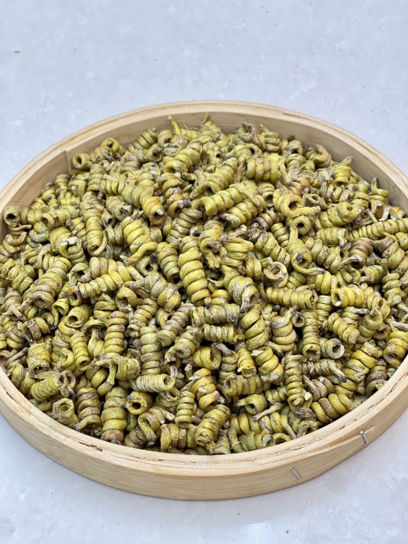 铁皮石斛龙头凤尾短粒，量大价优，基地发货，可视频看货！
