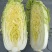 高山大白菜，品质好，价格便宜！